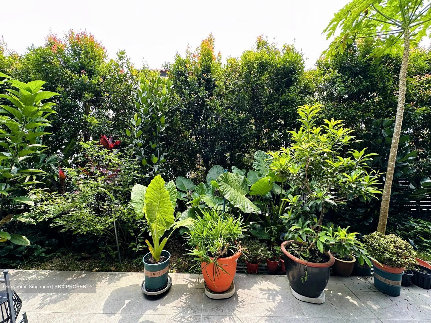 Alana (D28), Terrace #472213671